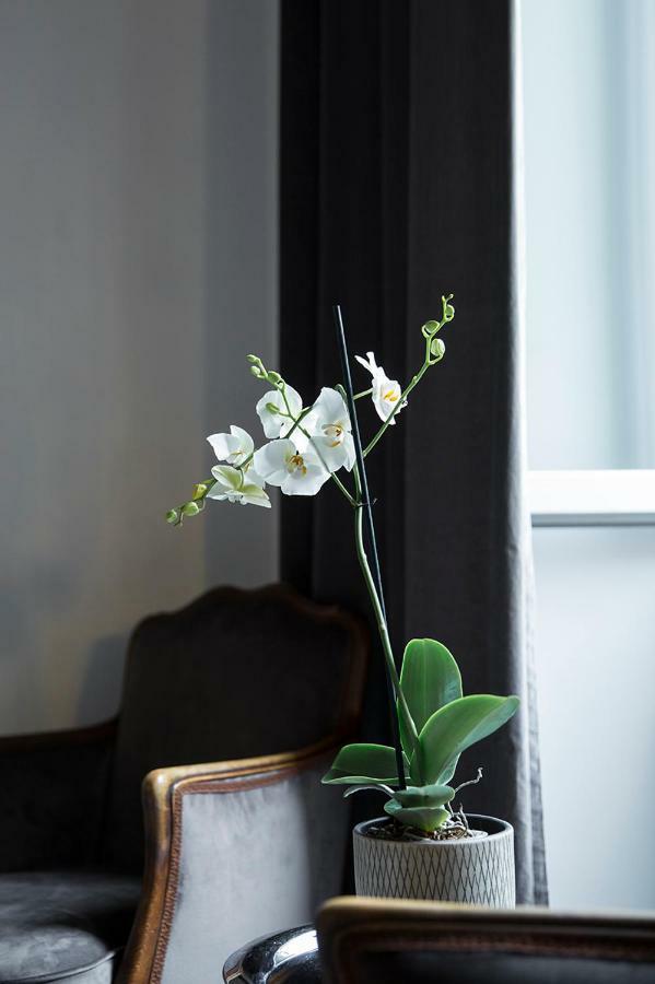 Duomosette Bed & Breakfast การ์รารา ภายนอก รูปภาพ