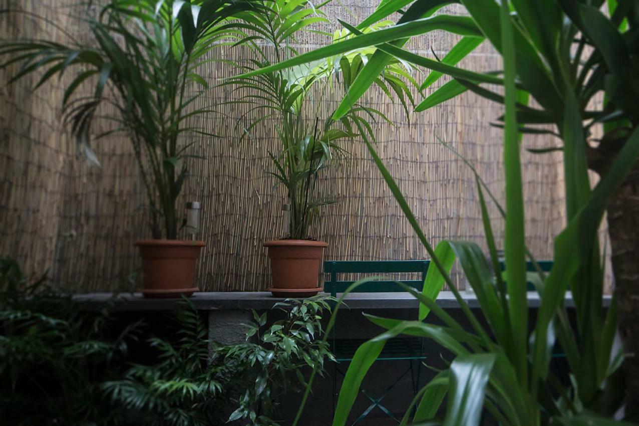 Duomosette Bed & Breakfast การ์รารา ภายนอก รูปภาพ